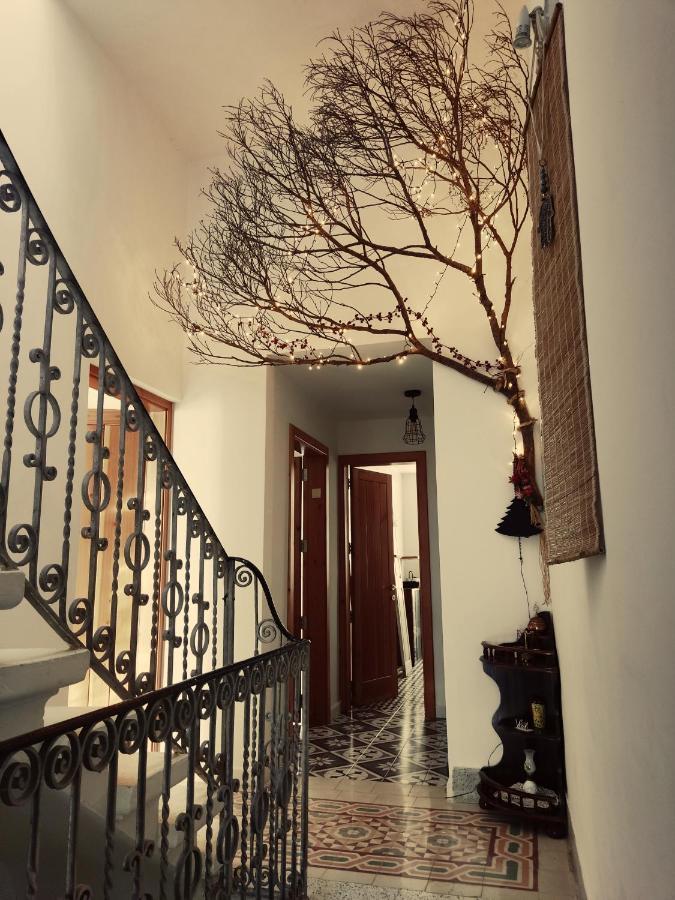 Dhara House Malta